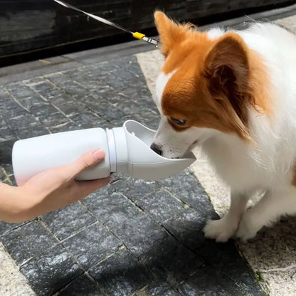 folding pet water bottle